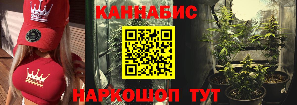 Конопля LSD WEED Ачхой-Мартан